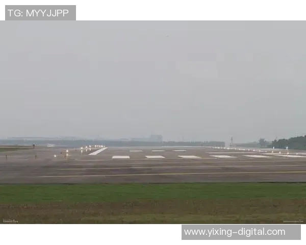 武汉羽毛球队阵地战解析：背后的战术与挑战全景探讨